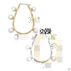 Allison Teardrop Hoop Earrings