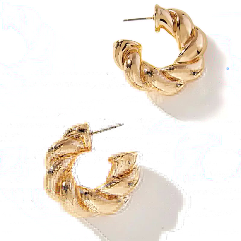 Chunky Rope Twist Hoop Earrings