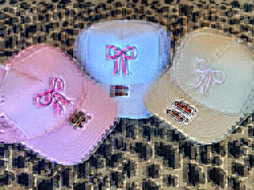 Embroidered Bow hats