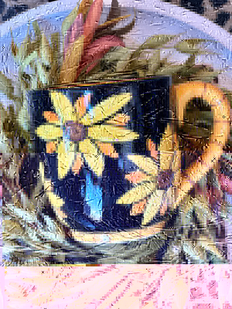 Bloom with Grace Sunflower Mug