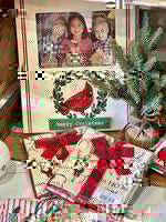 Red Bird Merry Christmas Frame