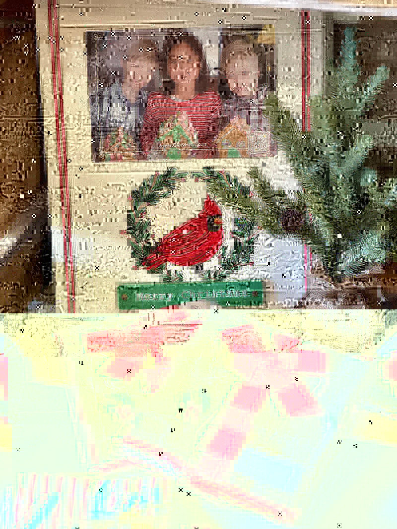 Red Bird Merry Christmas Frame