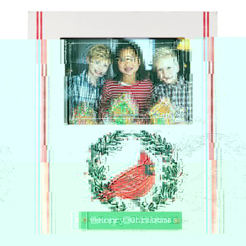 Red Bird Merry Christmas Frame